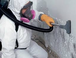 Best Attic Mold Removal in Ivanhoe, TX